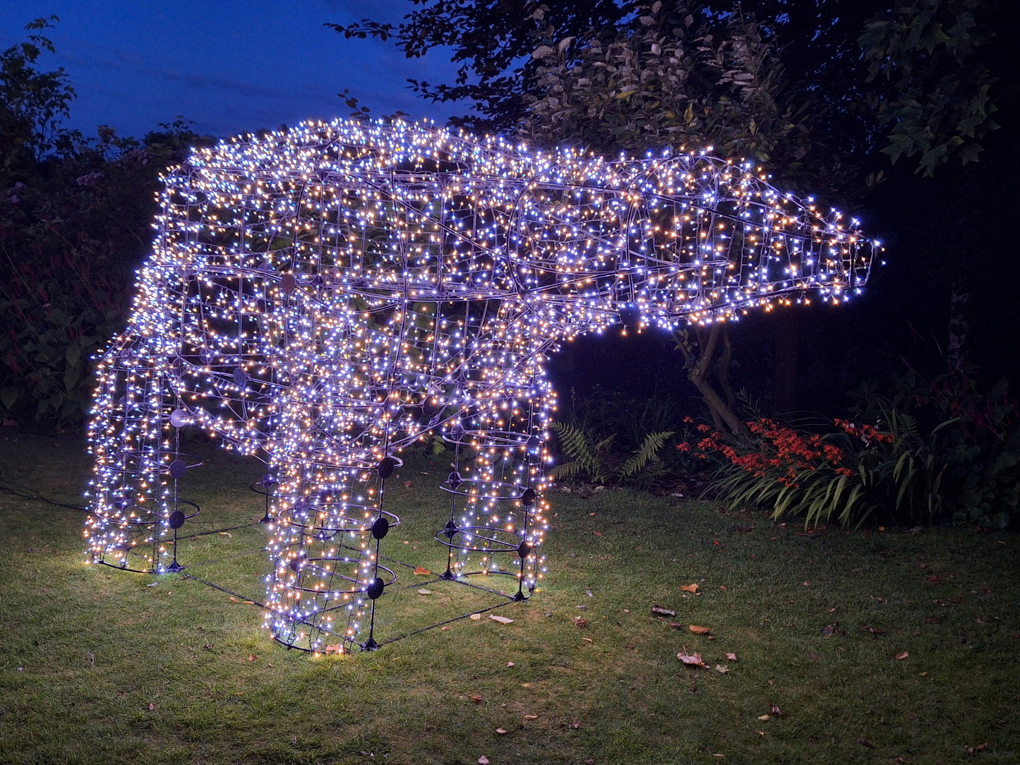 Polar Bear Individual Kit With Lights Warm White