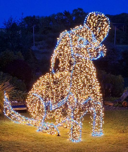 Puppy Dog With Lights to Full Kit With Lights Upgrade Pack