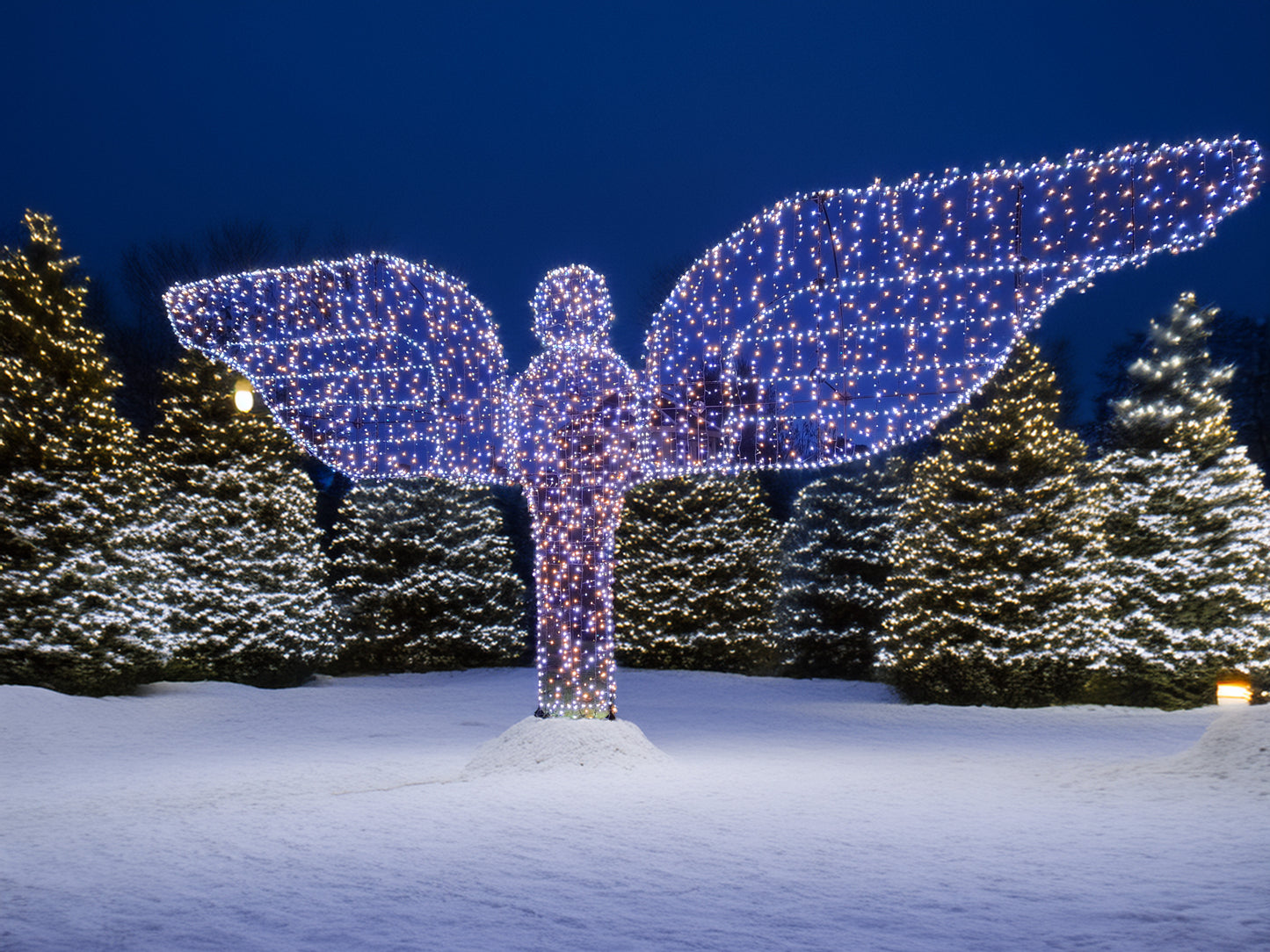 The Wall Angel (4.9mtrs wide) Kit With Cool White Lights