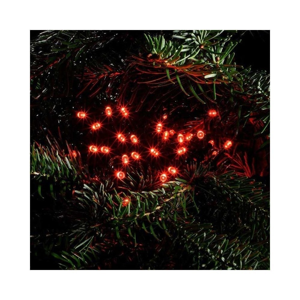 Berry Red Lights (960 Led) 28.77mtr