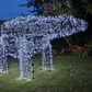Polar Bear Kit With Lights COOL WHITE