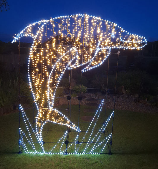 Dolphin Kit With Lights