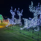 Deluxe Sleigh & 2 Pair Reindeer Individual Kit No Lights
