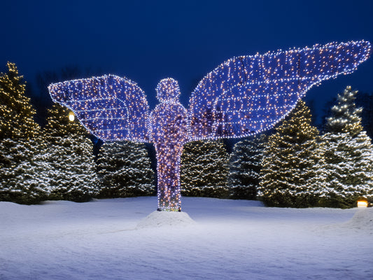 The Angel Individual Kit No Lights