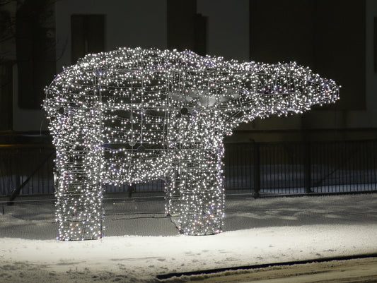 Polar Bear Kit With Lights COOL WHITE