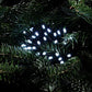 Cool White Lights (960 Led) 28.77mtr