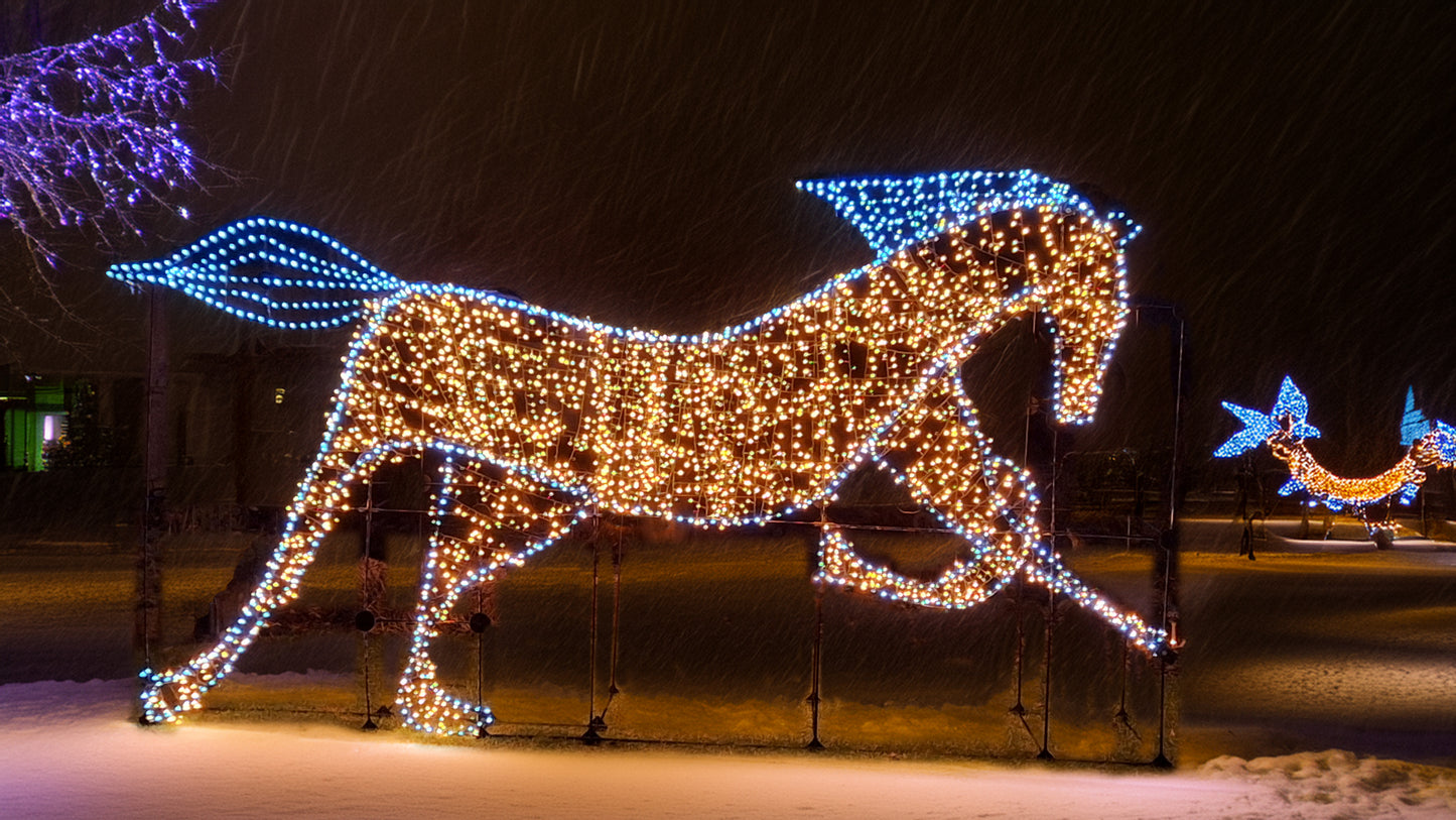 Palomino Horse Kit With Lights