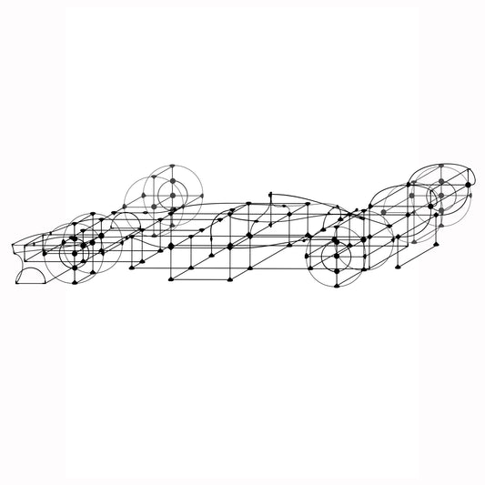 Racing Car Framework Kit No Lights