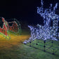 Santa's Sleigh & 1 Pair Reindeer  Kit With Lights