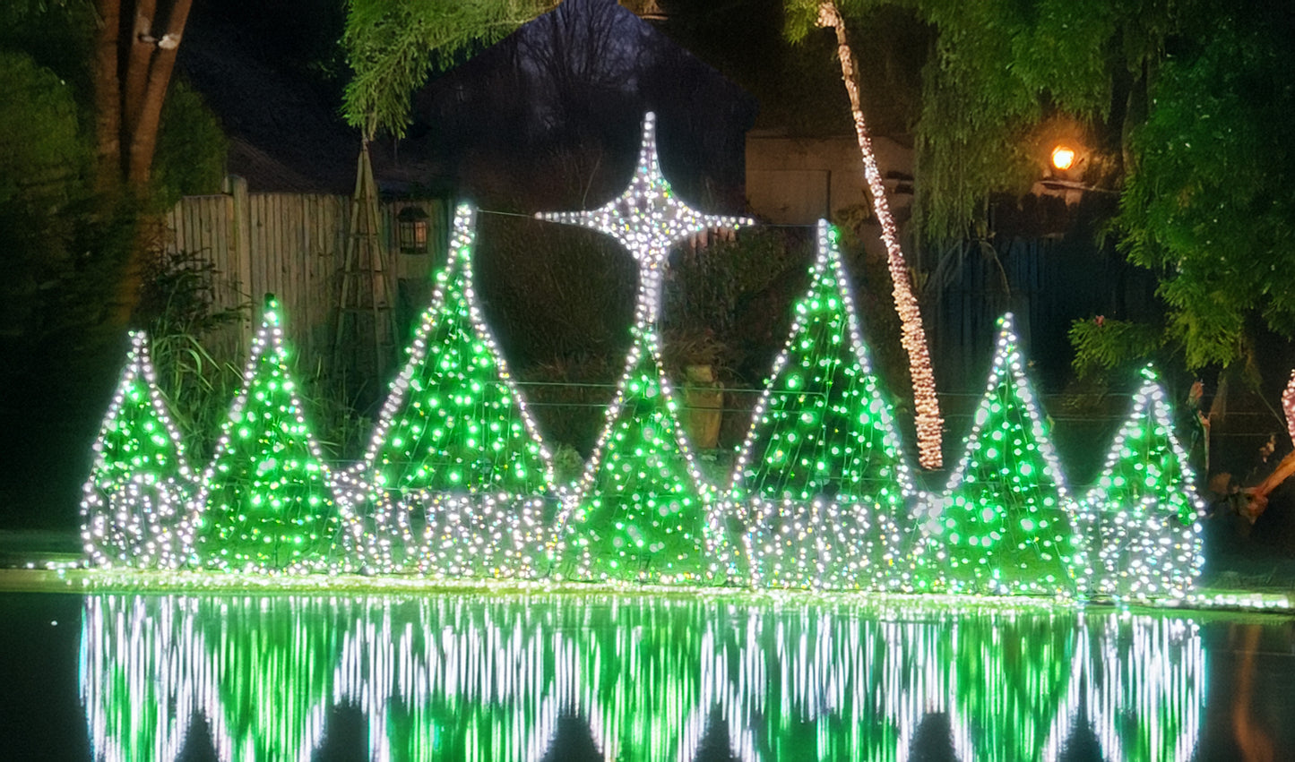 Starlight Forest Framework Only Kit