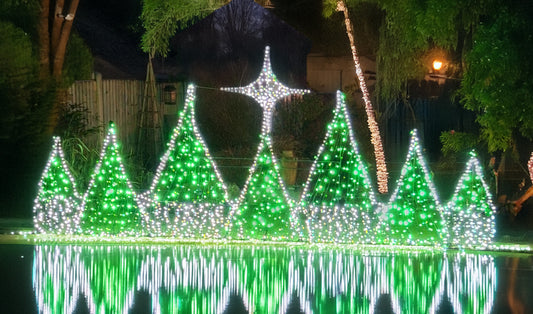 Starlight Forest Framework Only Kit