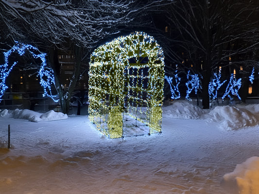 Tunnel Kit With Lights Warm White